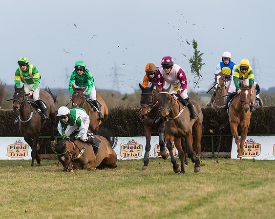 Race 7- Open Maiden (55 of 90)