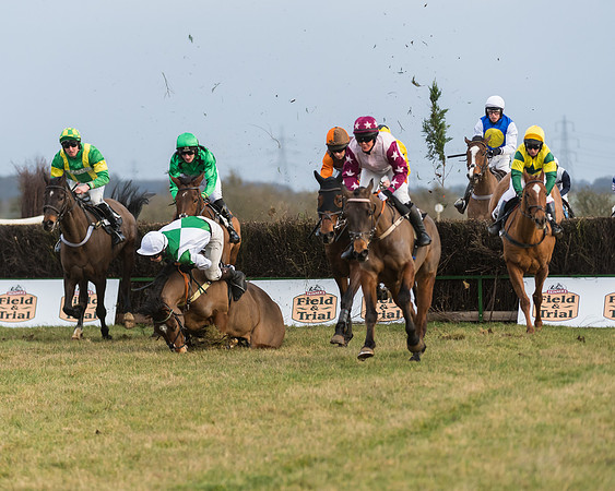 Race 7- Open Maiden (56 of 90)
