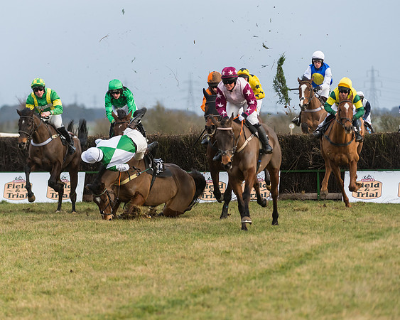 Race 7- Open Maiden (57 of 90)