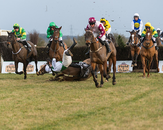 Race 7- Open Maiden (60 of 90)