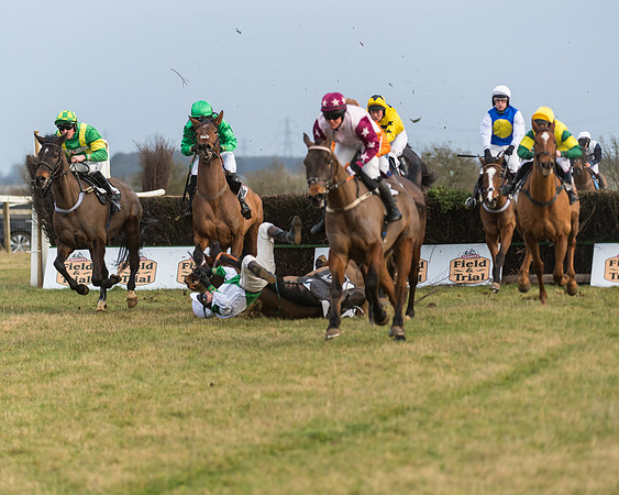 Race 7- Open Maiden (61 of 90)
