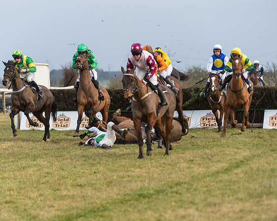 Race 7- Open Maiden (62 of 90)