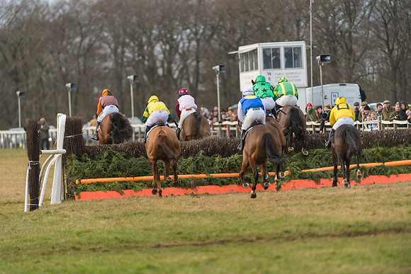 Race 7- Open Maiden (67 of 90)