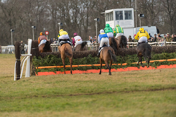 Race 7- Open Maiden (68 of 90)