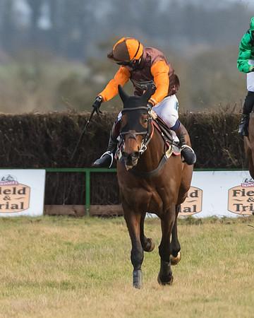 Race 7- Open Maiden (73 of 90)