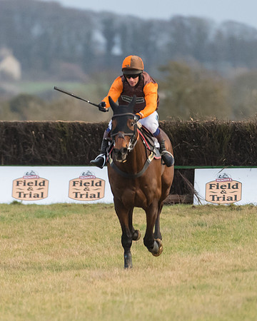 Race 7- Open Maiden (74 of 90)