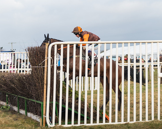 Race 7- Open Maiden (76 of 90)
