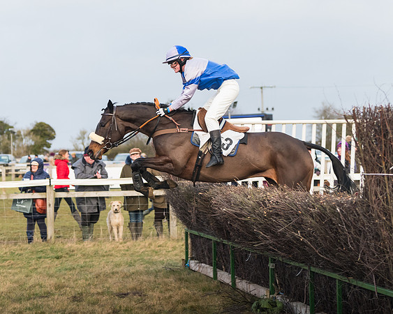 Race 7- Open Maiden (82 of 90)
