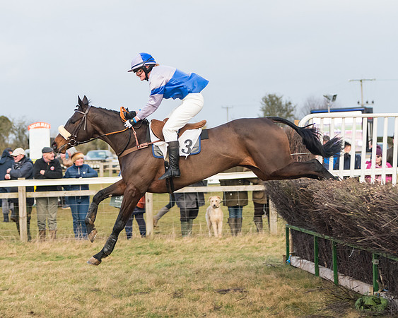 Race 7- Open Maiden (83 of 90)