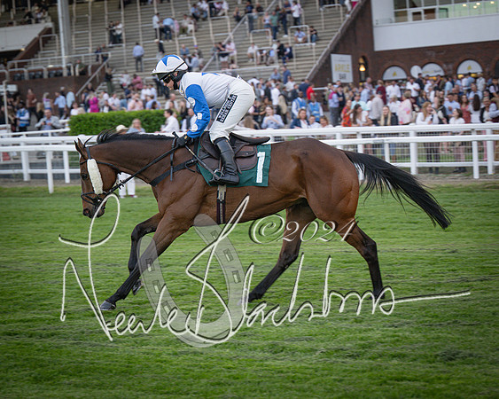 Race - 7 The Royal Gloucester Hussars Open Hunter's steeplechase 2m4f 127y (21 of 210)