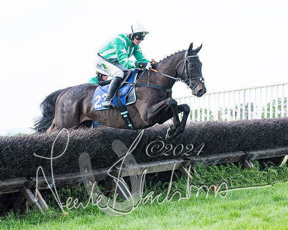 Race 5  - Maiden race 2m5F Div-2 (139 of 205)
