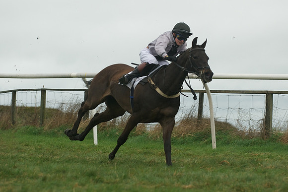 Race 8 - Pony Race 2 -  20