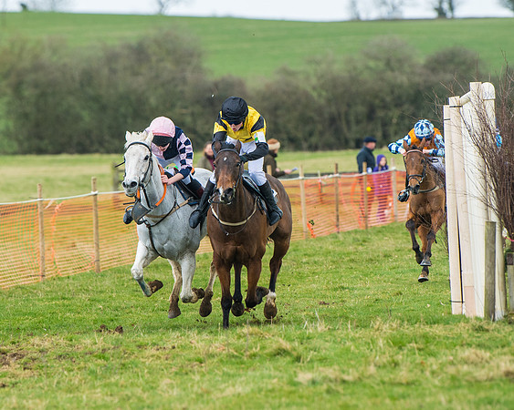 Pony Race 3 (17 of 67)