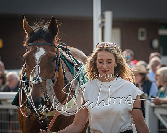 Race 2 - The Venatour sports travel intermediate point to point hunters’ steeplechase 5 year olds and over 3m2f (27 of 163)