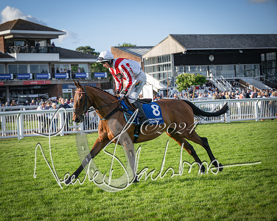 Race 4 - Peretemps Stratford Foxhunters (51 of 168)