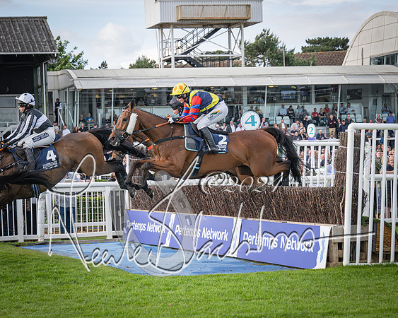 Race 2 - Olly Murphy Racing Stratford Ladies Open (78 of 111)