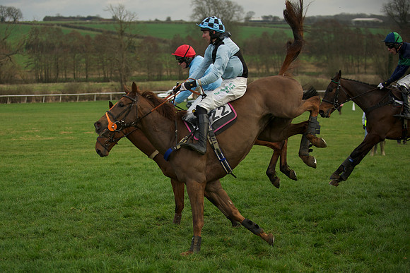 Race 6 - 41