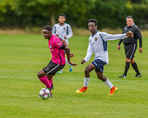 edsv 6-0 191016 (105 of 257)