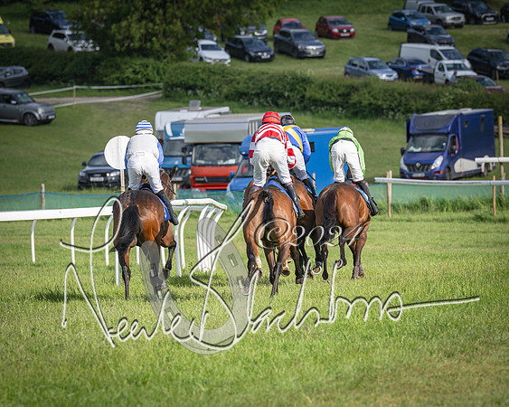Race 6 - Thorn Plant Hire Maiden Race (60 of 129)