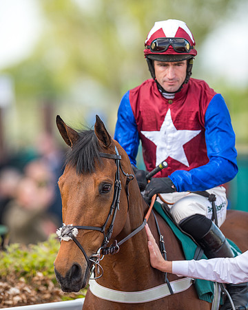 Race 2  -  Intermediate Point to Point Hunters' Steeple Chase (81 of 277)