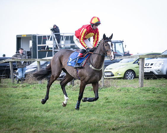 Race 2 - Maiden (41 of 145)