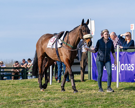 Race 5 - PPORA Five years and over (30 of 163)