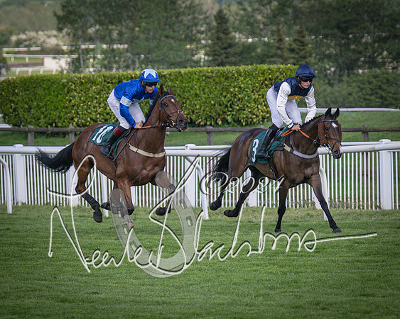 Race 2 - The Venatour sports travel intermediate point to point hunters’ steeplechase 5 year olds and over 3m2f (32 of 163)