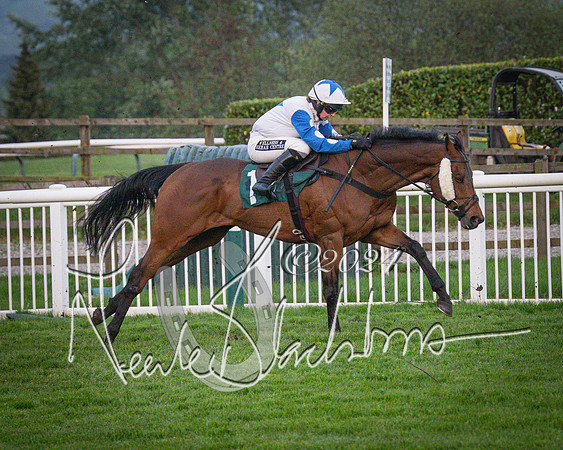 Race - 7 The Royal Gloucester Hussars Open Hunter's steeplechase 2m4f 127y (129 of 210)