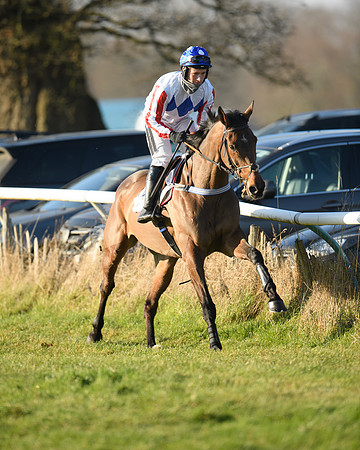 Race 3 - Restricted  (5 of 143)