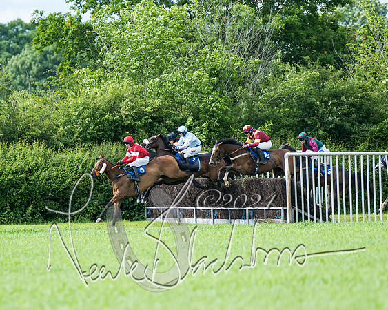 Race 5 - Restricted Race (256 of 434)