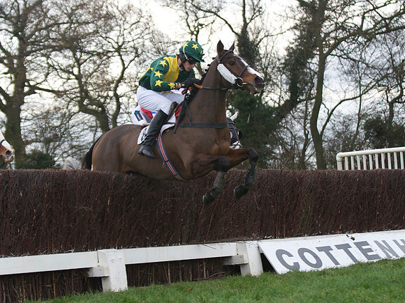 CHHC - Novice Riders