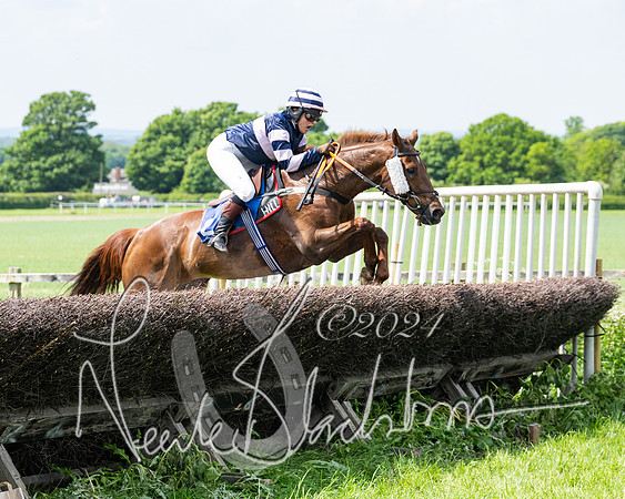 RAce 1 - Conditionsn [Level 2] (128 of 219)