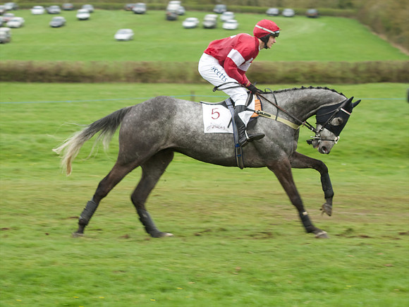 Race 6 - Maiden  32