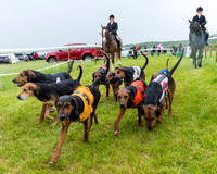 Race 7 - Hound Race etc (13 of 108)
