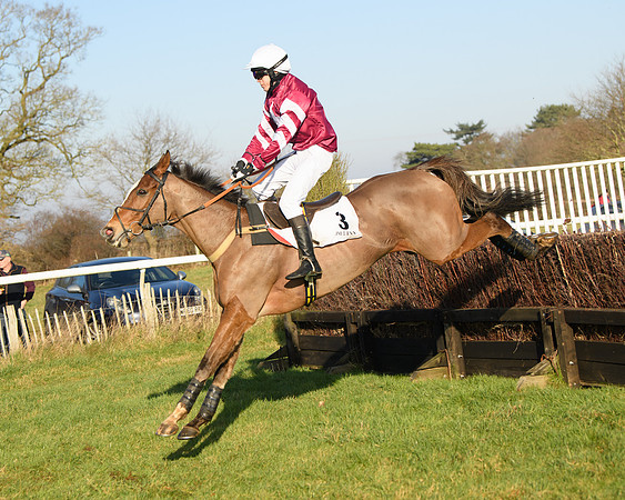 Race 2 - PPORA Novice Riders  (186 of 205)