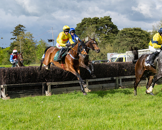 Race 5  - Maiden  (23 of 84)