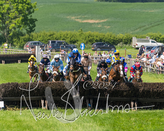 Race 2 - The Maiden  (196 of 442)