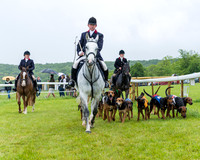 Race 7 - Hound Race etc (5 of 108)