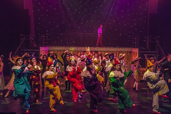 Pippin Friday (41 of 45)