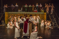 Pippin Friday -  (15 of 396)