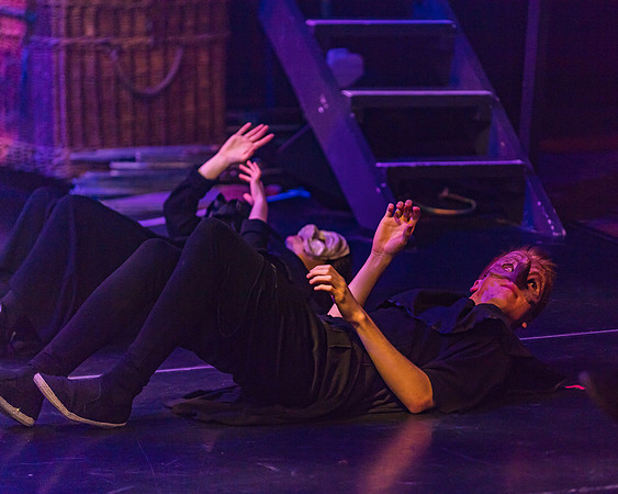 Pippin Friday -  (88 of 396)