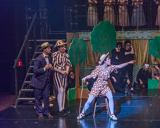 Pippin Friday -  (100 of 396)