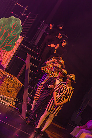 Pippin Friday -  (114 of 396)
