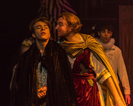 Pippin Friday -  (206 of 396)