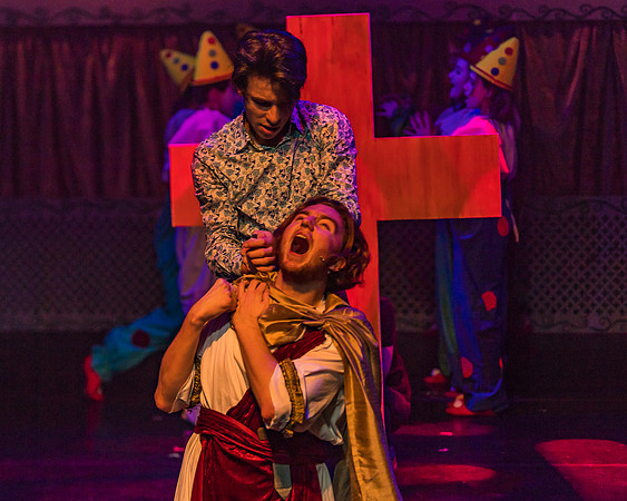 Pippin Friday -  (212 of 396)
