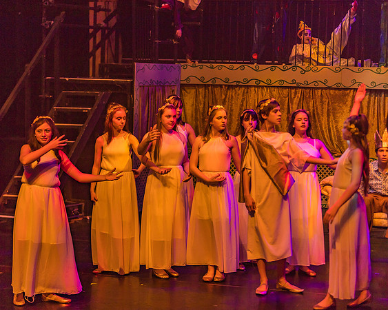 Pippin Friday -  (221 of 396)