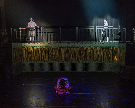 Pippin Friday -  (248 of 396)
