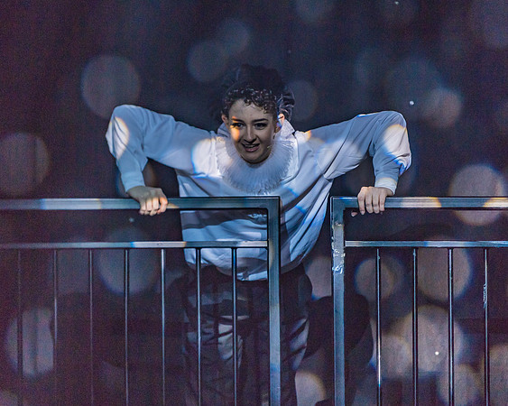 Pippin Friday -  (250 of 396)