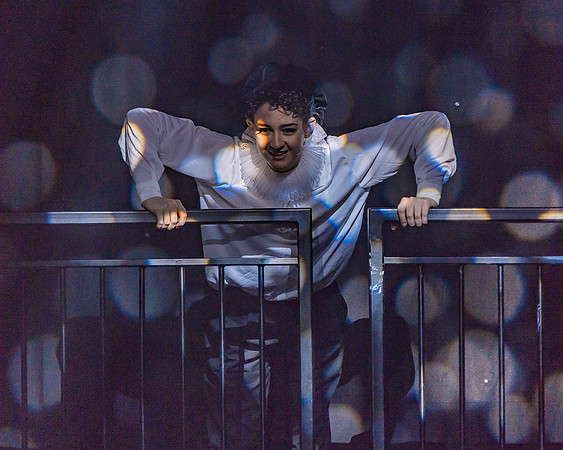 Pippin Friday -  (251 of 396)
