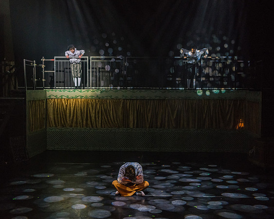 Pippin Friday -  (252 of 396)